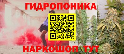 ешки Гусев