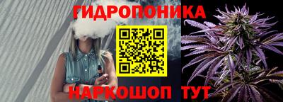 apvp Гусиноозёрск