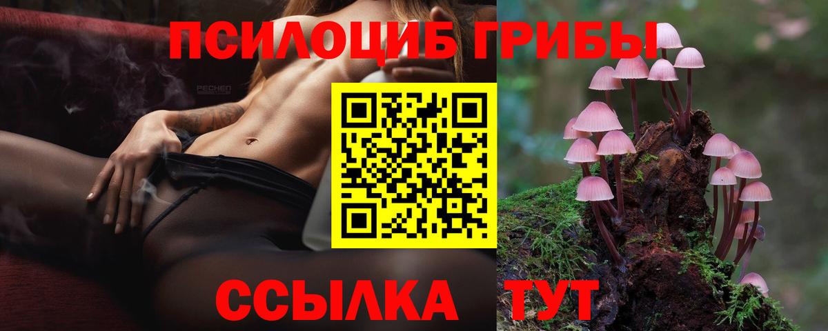 Галлюциногенные грибы Psilocybine cubensis  Вход с VPN  Галлюциногенные грибы Cubensis  Трёхгорный 